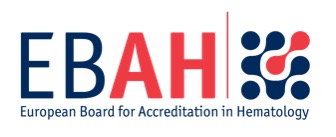 EBAH Logo 1