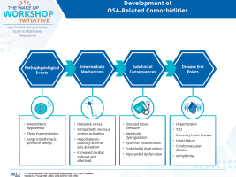 P25024 DPA Flowchart