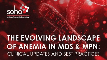 p25025-soho-pre-con-lms-mli-live-thumbnail-445x250px2_1758051045